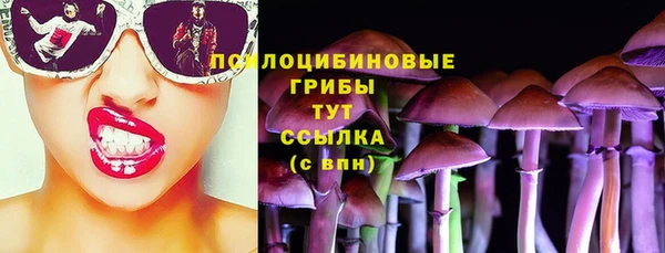 тгк Арсеньев