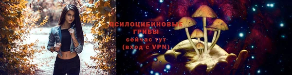 тгк Арсеньев