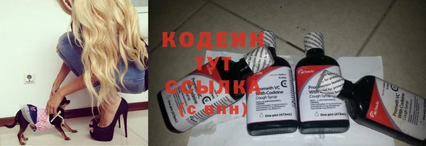 тгк Арсеньев