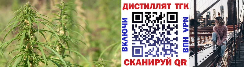 наркотики  mega вход  ТГК THC oil  Шлиссельбург 