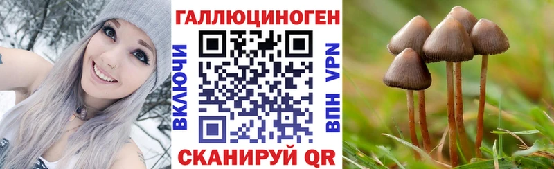 Галлюциногенные грибы Psilocybe  omg ссылки  Шлиссельбург 